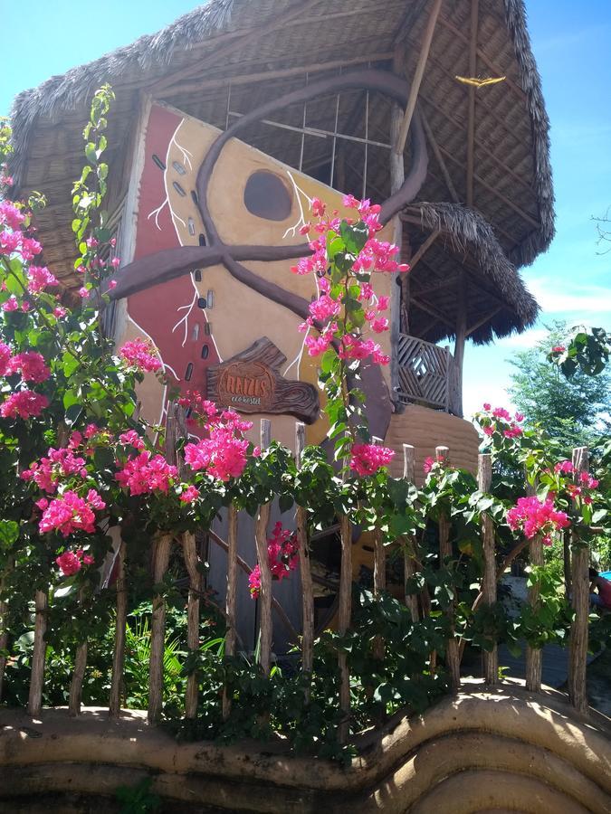 Raizes Eco Hostel บาร์รากรังจิ ภายนอก รูปภาพ