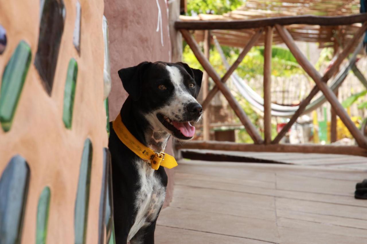 Raizes Eco Hostel บาร์รากรังจิ ภายนอก รูปภาพ